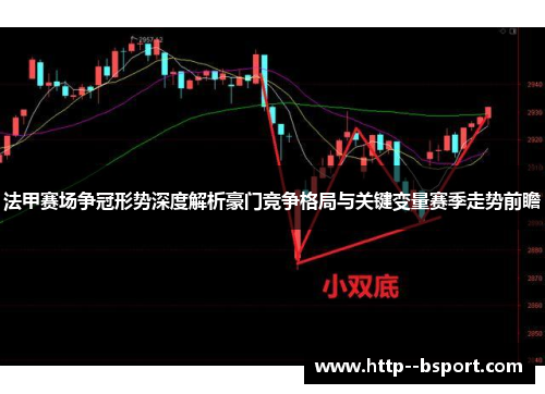 法甲赛场争冠形势深度解析豪门竞争格局与关键变量赛季走势前瞻