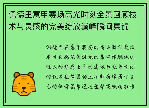 佩德里意甲赛场高光时刻全景回顾技术与灵感的完美绽放巅峰瞬间集锦